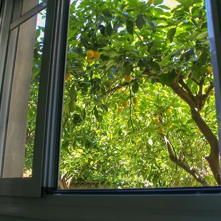 Cozy Spacious 파트라